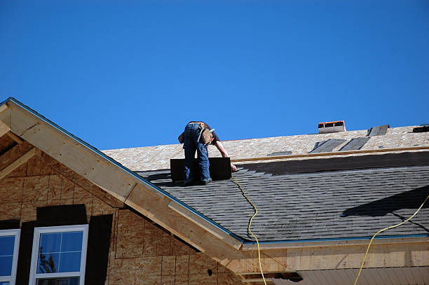 Best Roof Gutter Cleaning  in Tutwiler, MS
