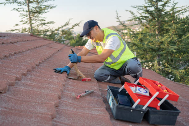Best Storm Damage Roof Repair  in Tutwiler, MS